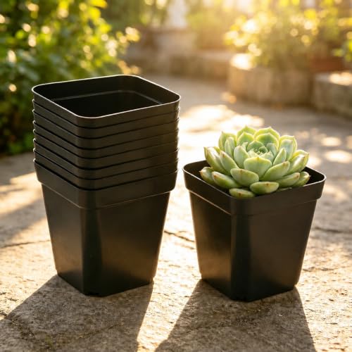 10Pcs 2.16Inch Square Black Plastic Nursery Pots, Mini Succulent Plant Seedling Pots with Drainage Holes for Cactus, Herb, Small Houseplants - color: Black, size: 10Pcs