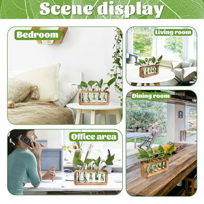 Glass Plant Propagation Station with 5 Test Tubes Colorful Planter Vase - color: Green