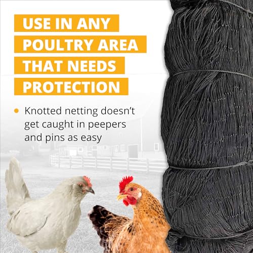 Stromberg's 2" Mesh Heavy Duty Knotted Aviary Netting, 100' x 100' - style: 2" Netting - 100' x 100'