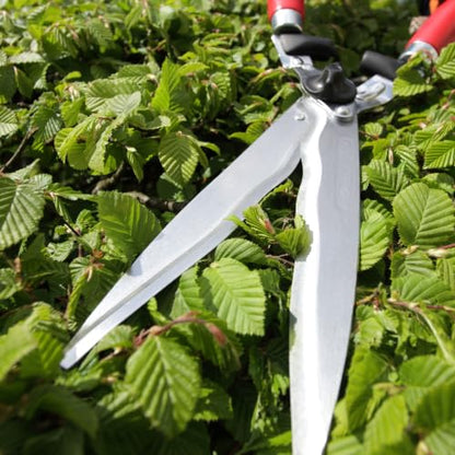 BERGER Hedge Shears – Professional 23.6" Garden Clippers with Wavy Chrome-Plated Steel Blades, 9.45" Cutting Length, Beechwood Handles, Adjustable Tension – 4590 - size: 57x21x6.5 cm