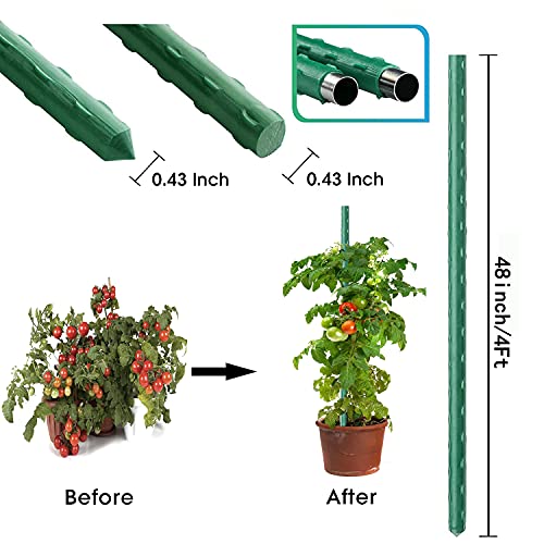 4Feet 48inch Garden Stakes Sturdy Plant Sticks Support Tomato Stakes for Vegetable,Pack of 20 - size: 4Ft-20 Pcs