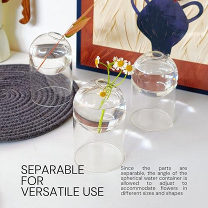 3-Pack Glass Plant Propagation Station, Planter Hydroponics Vase, Clear Glass Vase Set | Bud Vase & Mini Terrarium with Removable Base - color: Clear*3