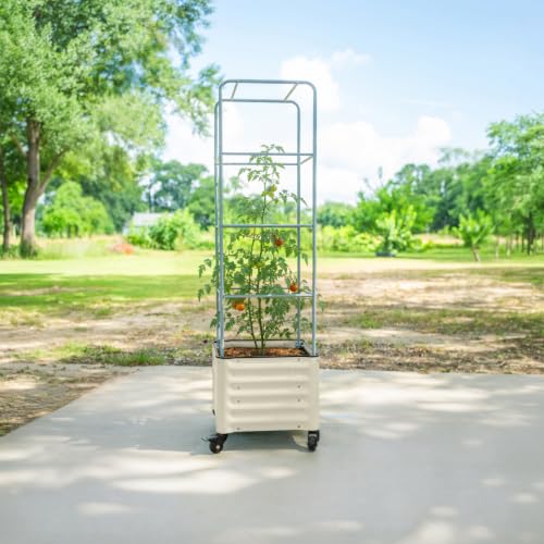Vego garden Classic Rolling Cube Tomato Planter with Metal Cage & Wheels, 30 Gallon Rolling Planter for Tomatoes, Peppers & Beans, 21" x 21" x 19", 54" Plant Support Cage-Pearl White - color: Pearl White