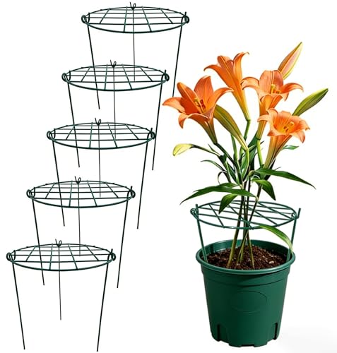 MTB Supply 5 Pack 16 x 24 inch Peony Cages,Grow Through Plant Support Stakes, Flower Support Hoops Heavy Plants Brace Rings - size: Grid 5pack