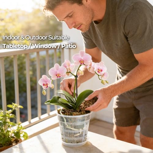 T4U Clear Orchid Pots 6.3 Inch 6 Pack, Orchid Pot with Holes Repotting - size: 6.3 Inch, 6 Pack
