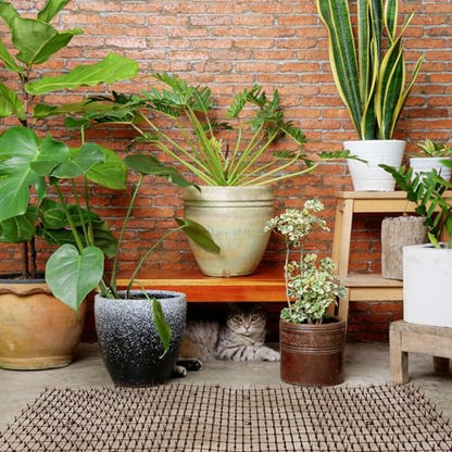 Zopeal 6.5ft Cat Deterrent Mat, Soft Spikes, Indoor Outdoor Pet Repellent - color: Dark Brown, style: 79 x 12 Inch