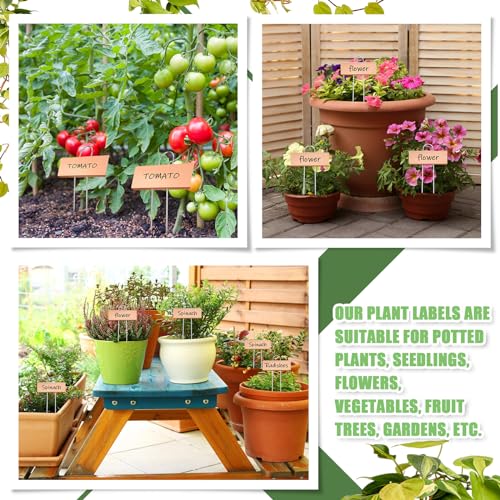 Maitys 38 Pcs Metal Plant Markers Outdoor, Rose Gold Label with Black Ink - color: Rose Gold Label With Black Ink