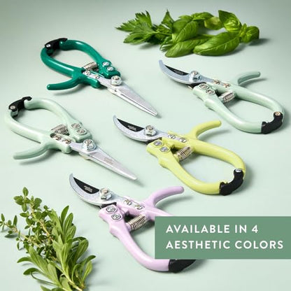 Modern Sprout Pruning Shears - Garden Snips - Herb Scissors - Multi 12-Pack - color: Multicolor - 12pcs