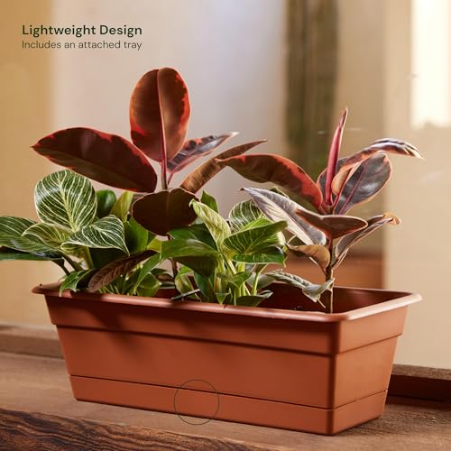 Bloem Dura Cotta 30" Plastic Window Box Planter, Terra Cotta, 3-Pack - color: Terra Cotta, size: 30" (Pack of 3)