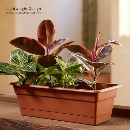 Bloem Dura Cotta 30" Plastic Window Box Planter, Terra Cotta, 3-Pack - color: Terra Cotta, size: 30" (Pack of 3)