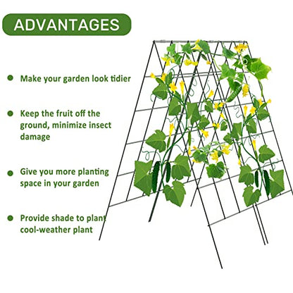 AGTEK 2 Packs 18" x 46" Foldable Cucumber Trellis for Cucumber, Climbing Plants, Vegetable Flowers - size: 36"W x 46"H