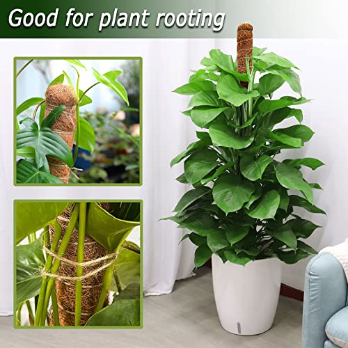 48 Inch Moss Pole, Bendable Moss Pole for Plants Monstera, Tall Moss Poles for Climbing Plants Indoor, Large Moss Pole Support, Garden Trellis Plant Stick Stakes for Potted Plants, Pothos - color: 1 × 48 Inch
