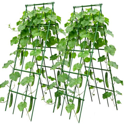 Heavy Duty Cucumber Trellis,2 Pack,No AssemblyGarden Trellis for Climbing Plants Outdoor,Cucumber Trellis, A-Frame Vegetable Frame,Vegetables Peas Beans Squash Cucumber