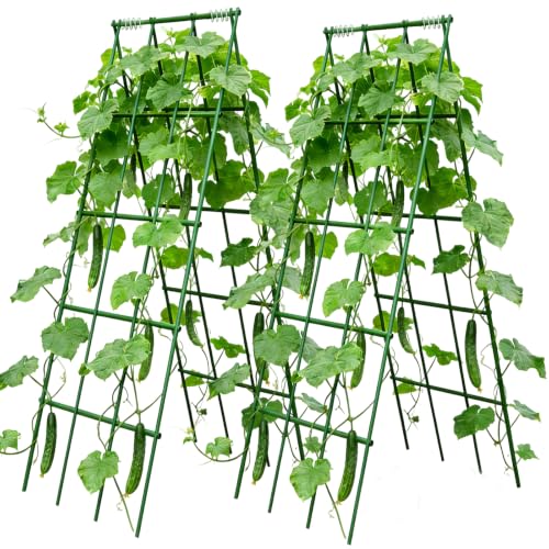 Heavy Duty Cucumber Trellis,2 Pack,No AssemblyGarden Trellis for Climbing Plants Outdoor,Cucumber Trellis, A-Frame Vegetable Frame,Vegetables Peas Beans Squash Cucumber