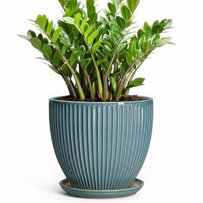 10 Inch Plant Pot, Ceramic Flower Pots with Saucer, Glaze Blue - color: Glaze Blue, size: 10 Inch