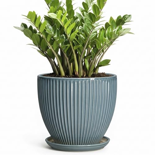 10 Inch Plant Pot, Ceramic Flower Pots with Saucer, Glaze Blue - color: Glaze Blue, size: 10 Inch