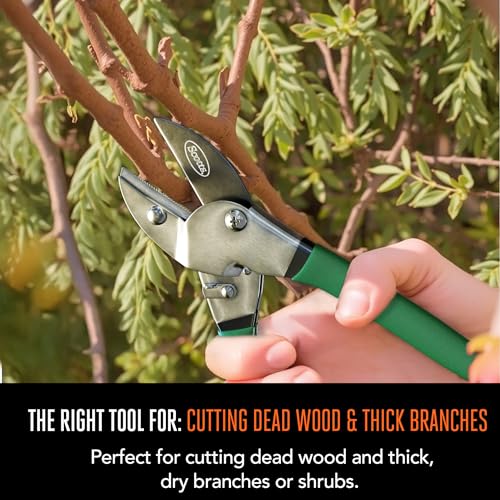 Scotts 8 in. Anvil Pruning Shears – 1/2 in. Cutting Capacity, Heavy-Duty Garden Pruner for Dry Stems and Dead Wood, Sap Resistant – Comfort Grip with Sharp Carbon Steel Blade for Yard and Garden Use - style: Anvil Pruner