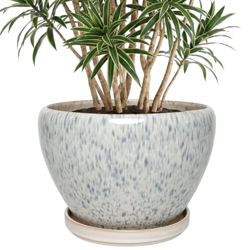 10.6 Inch Ceramic Planter with Saucer for Indoor Plants (Dot Blue) - color: Dot Blue, size: 10.6 Inch