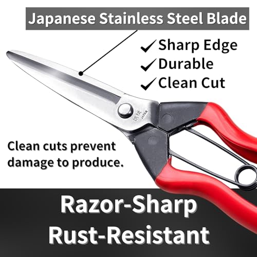 Harvesting Scissors Blunt Tips 7.9" for Vegetable, Fruits, Plants - Japanese Garden Shears Pruning Snips - Sharp Japanese Stainless Steel Blade & Non-Slip Spring-Loaded Handle - Made in Japan - style: Harvesting