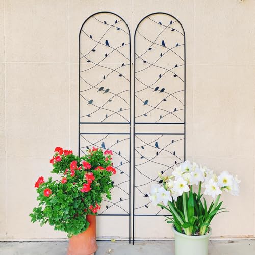 Garden Trellis for Climbing Plants Outdoor, 2-Pack 86" Metal Rustproof - color: Bird-2pacs-Black, size: 86×19.7"