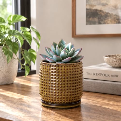 D'vine Dev Beaded Ceramic Pot with Saucer, 4 in, Olive Bronze, 27-C-Z-N - color: Olive Bronze, size: 4.3 Inch