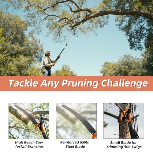 20FT Reach Manual Pole Saw, 2-in-1 Pole Pruner for Tree Trimming, 4-Section 5-12FT Retractable Square Pole, Labor-Saving Pulley & Hardened Steel Blade for Fruit, Palm, High Orchard Branches