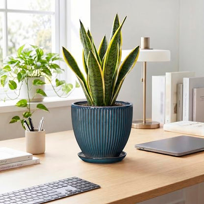 Ceramic Plant Pots, 8 Inch Planters with Saucer, Retro Blue - color: Retro Blue, size: 8 Inch