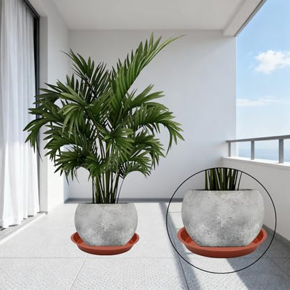 8 Pack 4 5 6 8 Inch Terracotta Plant Saucers Plastic Drip Trays - color: Terracotta, size: 4 Inch, 5 Inch, 6 Inch, 8 Inch