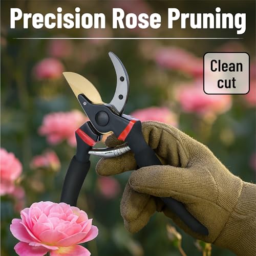 Mr. Pen- Pruning Shears, Garden Shears, 8" Professional, Titanium Blade
