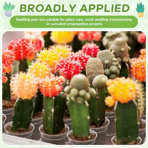 Yaomiao 200 Pcs 2 Inch Clear Mini Nursery Pots with Drainage Holes - color: Clear, size: 2 Inch