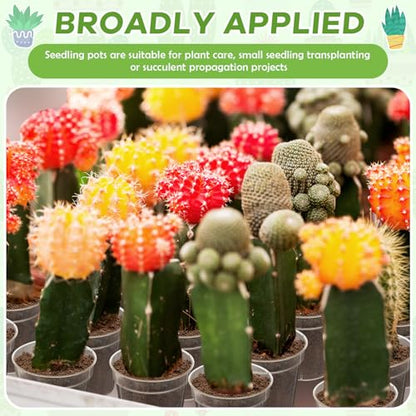 Yaomiao 200 Pcs 2 Inch Clear Mini Nursery Pots with Drainage Holes - color: Clear, size: 2 Inch
