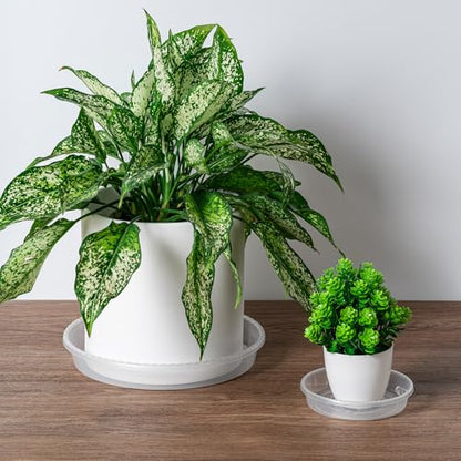 Plant Saucer Tray, 6 Pack 8 Inch Plastic Plant Saucers for Indoor Outdoor - size: 8 INCH