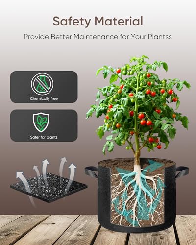The Growing 5 Pack 3 Gallon Fabric Grow Bags，Thickened Aeration Nonwoven Fabric Plant Pots with Durable Handles,Heavy Duty 300G Planter Pot for Tomato, Fruits, Vegetables and Flowers, Black
