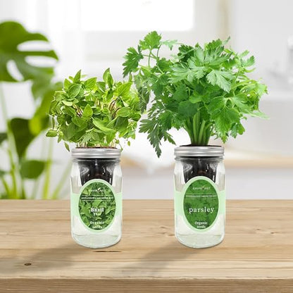 2-Pack Hydroponic Mason Jar Herb Garden Kit, Indoor Herb Garden Self-Watering Starter Kit (Thai Basil,Parsley)