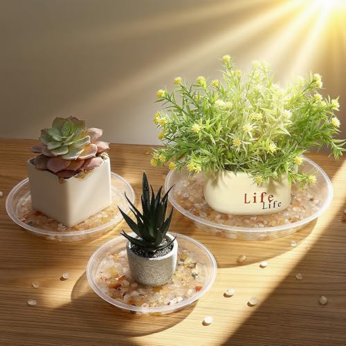 3 5 7 9 11 15 Inch Clear Plastic Plant Saucers for Indoors, 5 Pack Durable Plant Trays for Pots and Plant Water Catcher Tray with No Holes, Reusable Plastic Trays for Plants (5''-5Pack) - size: 5''-5Pack