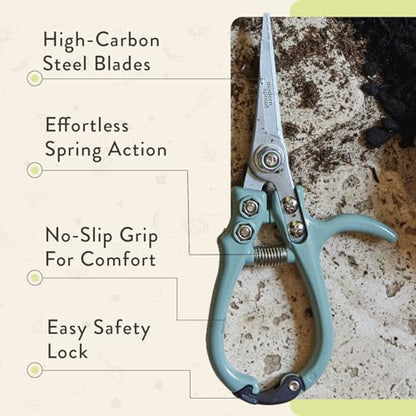 Modern Sprout Pruning Shears- Garden Snips-Herb Scissors- Chartreuse 1-Pack - color: Chartreuse