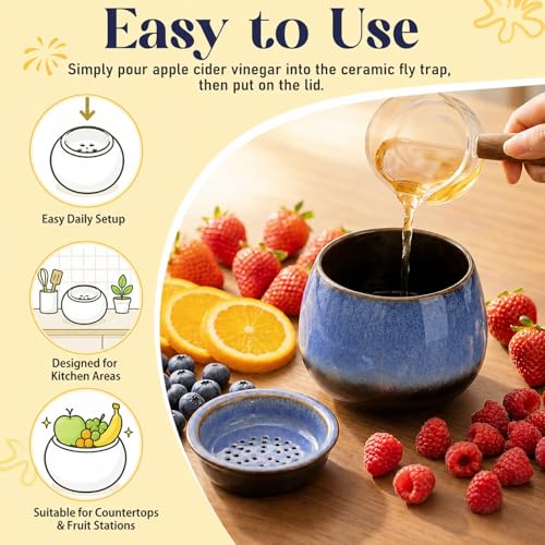 1 Pack Ceramic Fruit Fly Traps Reusable, Reactive Glaze, Cobalt Blue - color: Cobalt Blue, size: Reactive Glaze