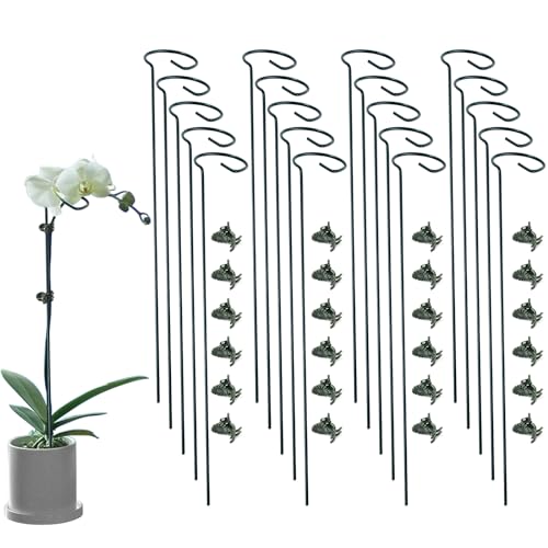 20 Pack Plant Support Stakes with 24 Pcs Plant Clips, Garden Single Stem Support Stake, Plant Cage Support Ring for Indoor Outdoor Flowers Rose Amaryllis Tomatoes Peony Lily Orchid (24 Inch) - color: 20 PCS, size: 24 Inch