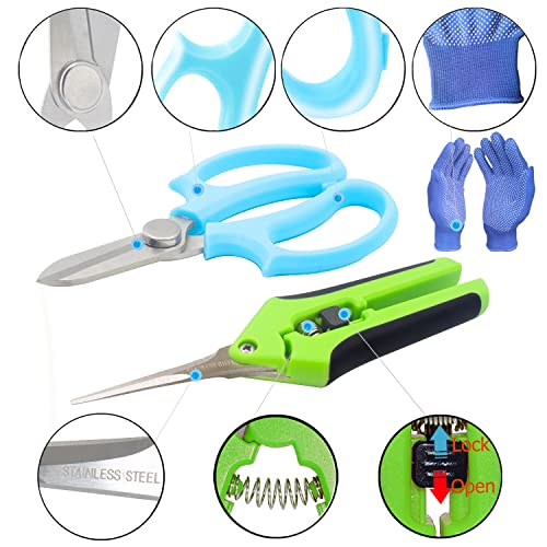 Garden Pruning Shears Garden Scissors Herb Scissors Florist Scissors Floral Snips Bonsai Scissors Hand Pruner with Gardening Gloves,Stainless Steel Straight Tip and Curved Blades,Green+Blue