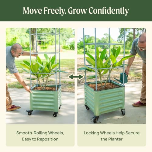 Vego garden Classic Rolling Cube Tomato Planter with Metal Cage & Wheels, 30 Gallon Rolling Planter for Tomatoes, Peppers & Beans, 21" x 21" x 19", 54" Plant Support Cage-Pearl White - color: Pearl White