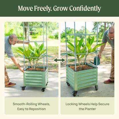 Vego garden Classic Rolling Cube Tomato Planter with Metal Cage & Wheels, 30 Gallon Rolling Planter for Tomatoes, Peppers & Beans, 21" x 21" x 19", 54" Plant Support Cage-Pearl White - color: Pearl White