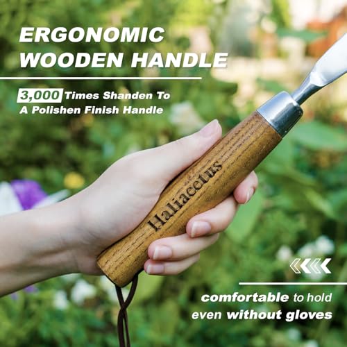 Haliaeetus Crack Weeder Tool, L Shaped Stainless Steel Crevice Weeding Tool - size: 11'' Crack Weeder Tool