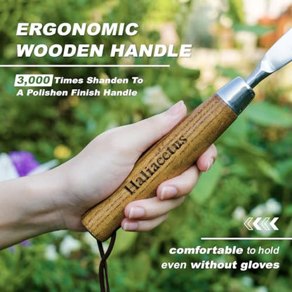 Haliaeetus Crack Weeder Tool, L Shaped Stainless Steel Crevice Weeding Tool - size: 11'' Crack Weeder Tool
