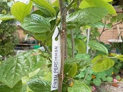 500 Pcs Plant Tags Waterproof 4 x 0.8 Inch, Plant Labels Garden Nursery Labels Plastic Pot Labels White,Box of 500