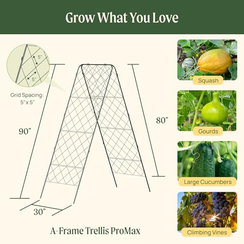 Vego Garden A-Frame Trellis 90" Tall Cucumber Cage for Garden & Pots, Rust-Resistant Tomato Stakes Heavy Gauge Plant Cage Trellis Support for Climbing Vegetables Plants 2 Pack - size: 90" Tall