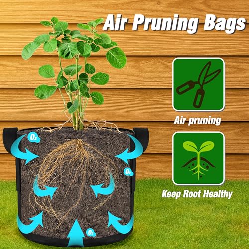 12-Pack 5 Gallon Grow Bags - size: 5 Gallon