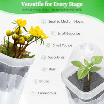 24 Pack 2.5" Self Watering Seed Starter Pots for Plant Propagation Cuttings - color: Transparent 24 Pack