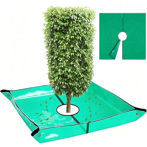 Landscape Pruning Tarp, 78.7“X78.7” Landscape Tarp for Trimming, Trimming Tarps Shrub Trimmings with Four Corner Buckles for Easy Fastening and Leaf Collection. (Green, 24” Hole) - size: 24” Hole