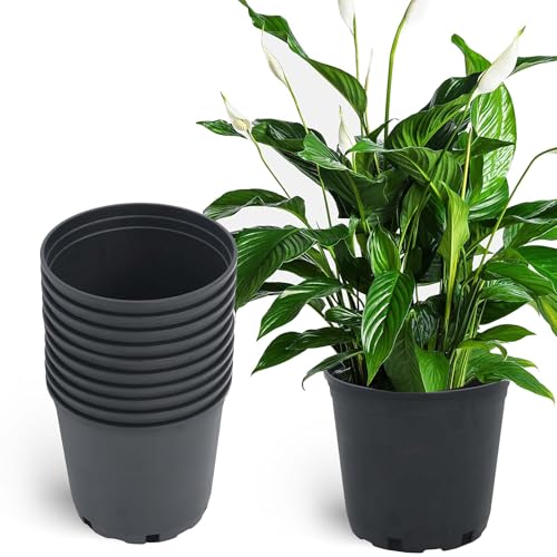 Planter Nursery Pots 2 Gallon Pots for Plants, Injection Molded Plastic Nursery Pots, Plant Container 2 Gal 10-Pack - color: Black, size: Round-9inch-10pcs