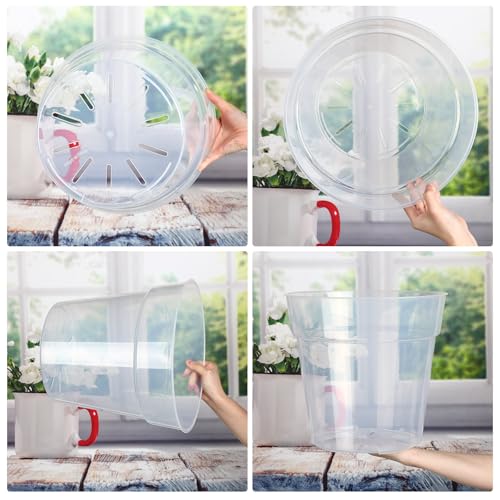 Baderke 3 Pack Clear Nursery Pot,11.65 Inches - size: 11.65 Inches
